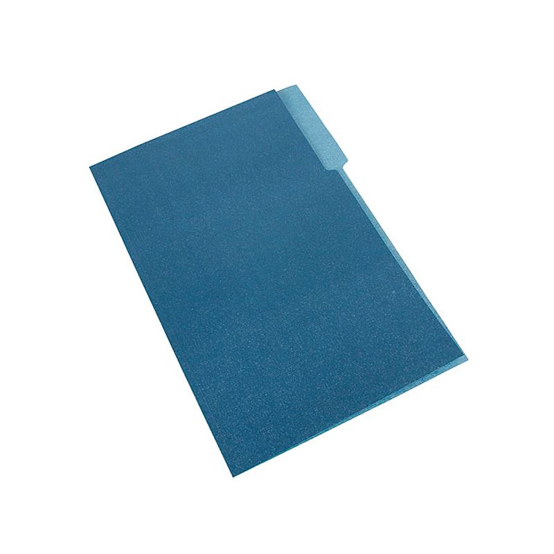 Carpeta Interior Nepaco azul marino, caja de 100 unidades