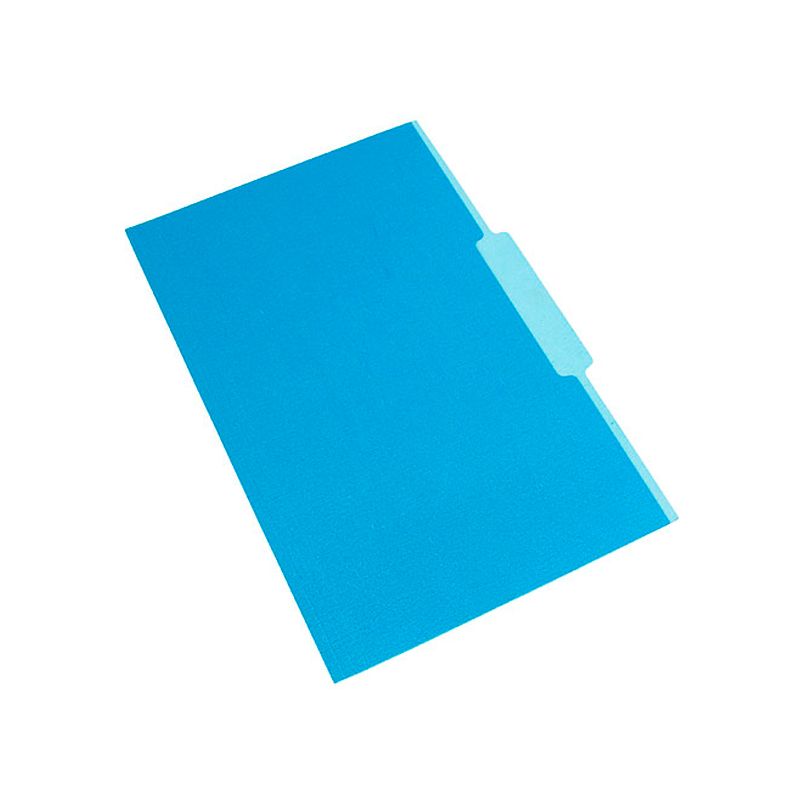 Carpeta Interior Nepaco celeste, caja de 100 unidades