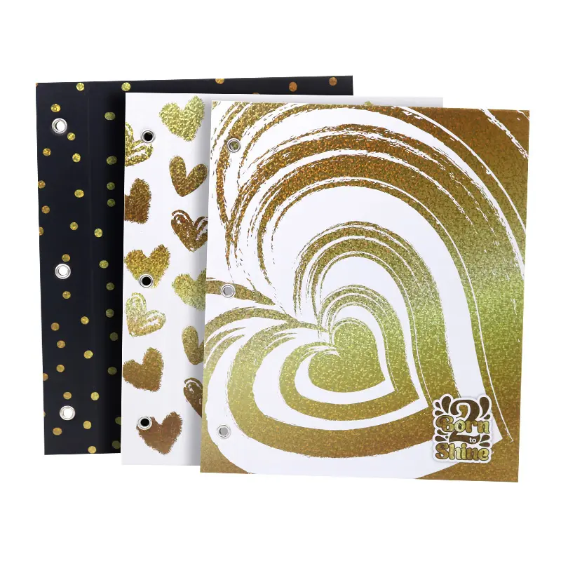 Carpeta N°3 dos tapas Rexon Born to Shine 2
