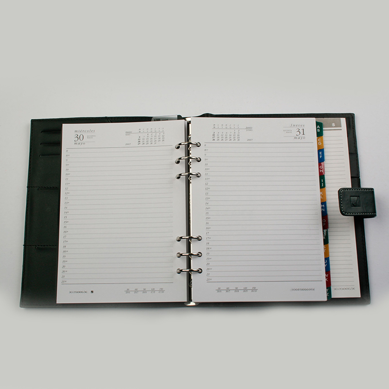 Repuesto para agenda 2025 Centenario