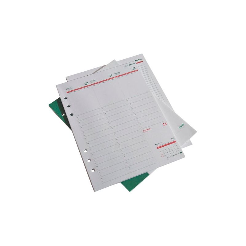 Repuesto para agenda 2025 Citanova