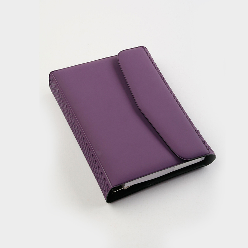 Agenda 2025 con abrojo Citanova Leo, anillada, goma 