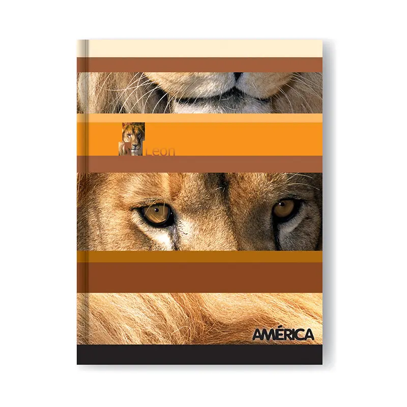 Cuaderno América tapa Cartón , 16 x 21cm. 42 hojas rayadas
