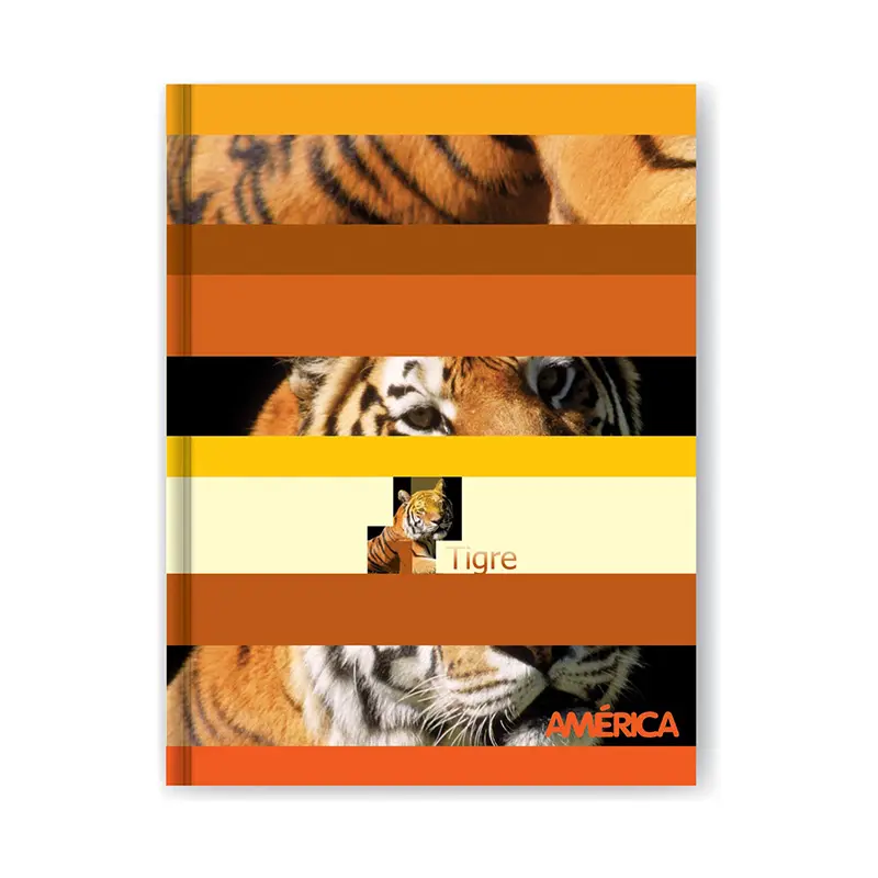 Cuaderno América tapa cartón, 16x21cm. 82 hojas rayadas