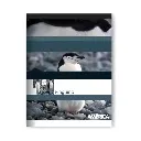 Cuaderno América tapa flexible, 16x21cm. 48 hojas rayadas