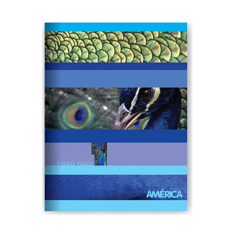 Cuaderno América tapa flexible, 16x21cm. 86 hojas rayadas