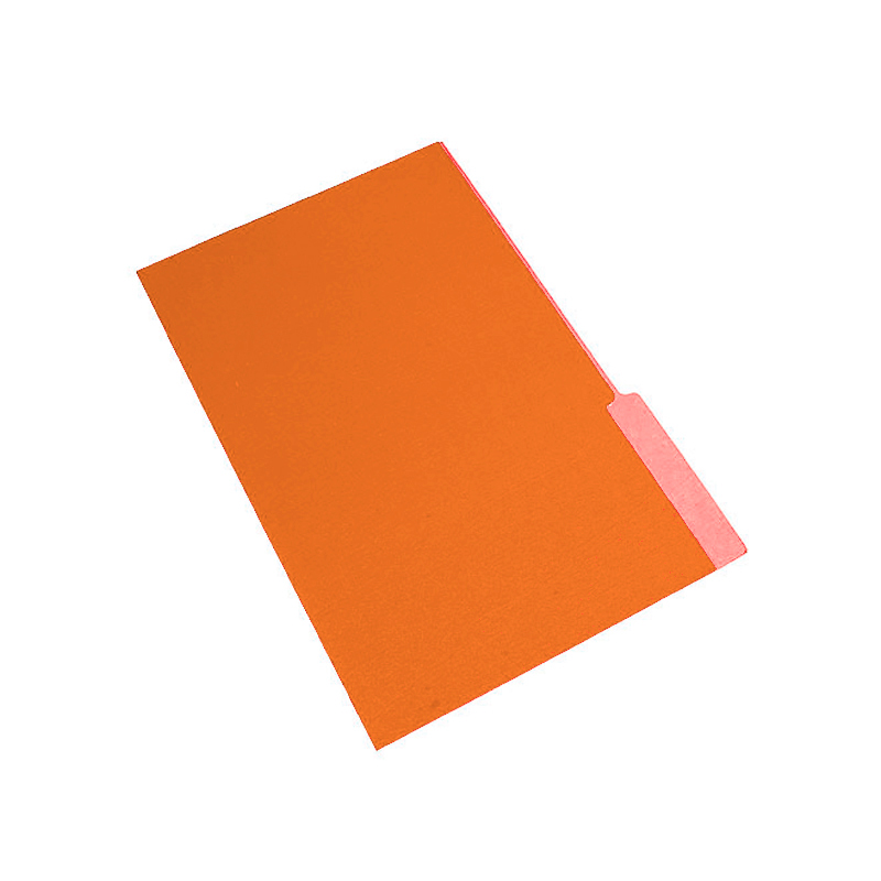 Carpeta Interior Nepaco naranja, caja de 100 unidades
