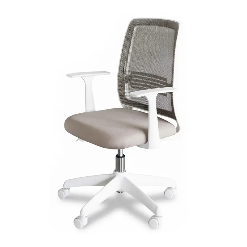 Silla Neumática C/Brazo BR900 MINT 