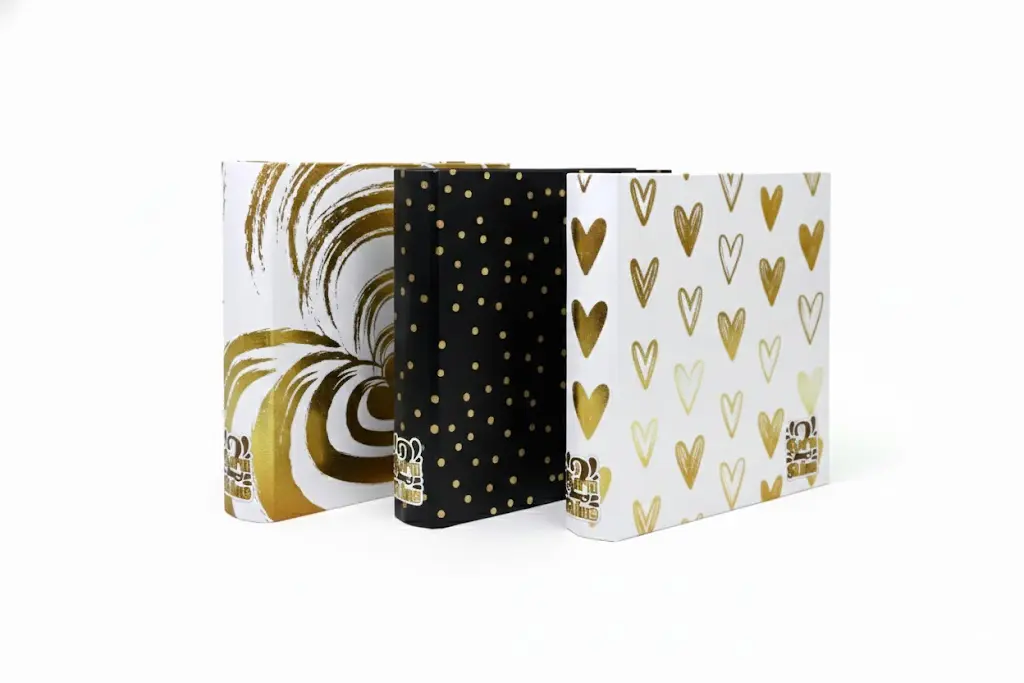 Carpeta 3 anillos Rexon Born to Shine 2, lomo de 40mm.