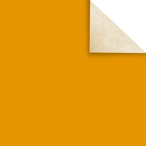 [PAPAFICHENAR] Papel Afiche naranja, pack de 20 unidades