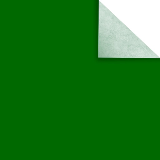[PAPAFICHEVER] Papel Afiche verde, pack de 20 unidades ( D )