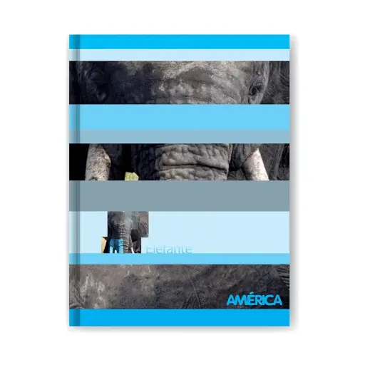 [AMERTC42CUAD] Cuaderno América tapa cartón, 16x21cm. 42 hojas cuadriculadas