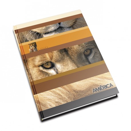 [AMERTC82RAYA] Cuaderno América tapa cartón, 16x21cm. 82 hojas rayadas