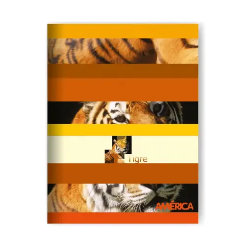 [AMERTF48CUAD] Cuaderno América tapa flexible, 16x21cm. 48 hojas cuadriculadas