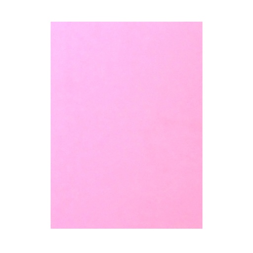 [CARPPREA4ROS] Carpeta presentación de cartulina A4 rosa