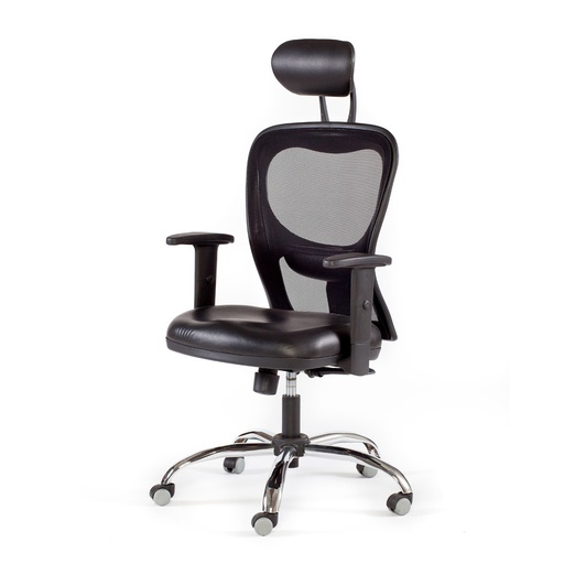 [CITIZBRCANEG] Sillón Citiz c/Brazos BR100 PP + cabezal