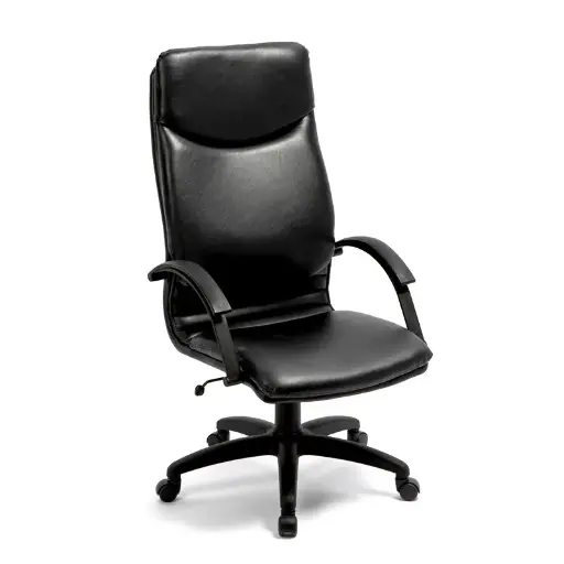 [ELECTRACBRAZO] Sillón Electra Alto Basculante con Brazos